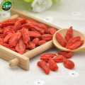 Fabricante de medicamentos de vendas e baga de goji de qualidade alimentar ((45 unidades) * 8g) Chá orgânico de ervas Berry Wolfberry Gouqi 360g